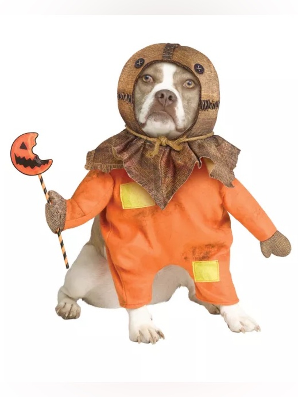 Sam Pet Costume - Trick 'r Treat